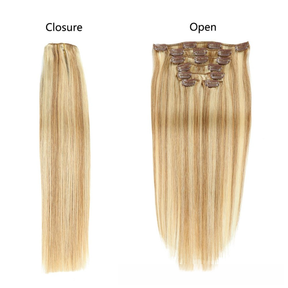 Ash Blonde/Beach Blonde Clip-In Hair Extensions